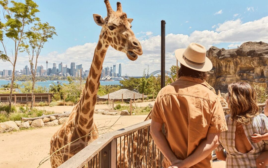 Explore Taronga Zoo with Our Convenient Taxi Service
